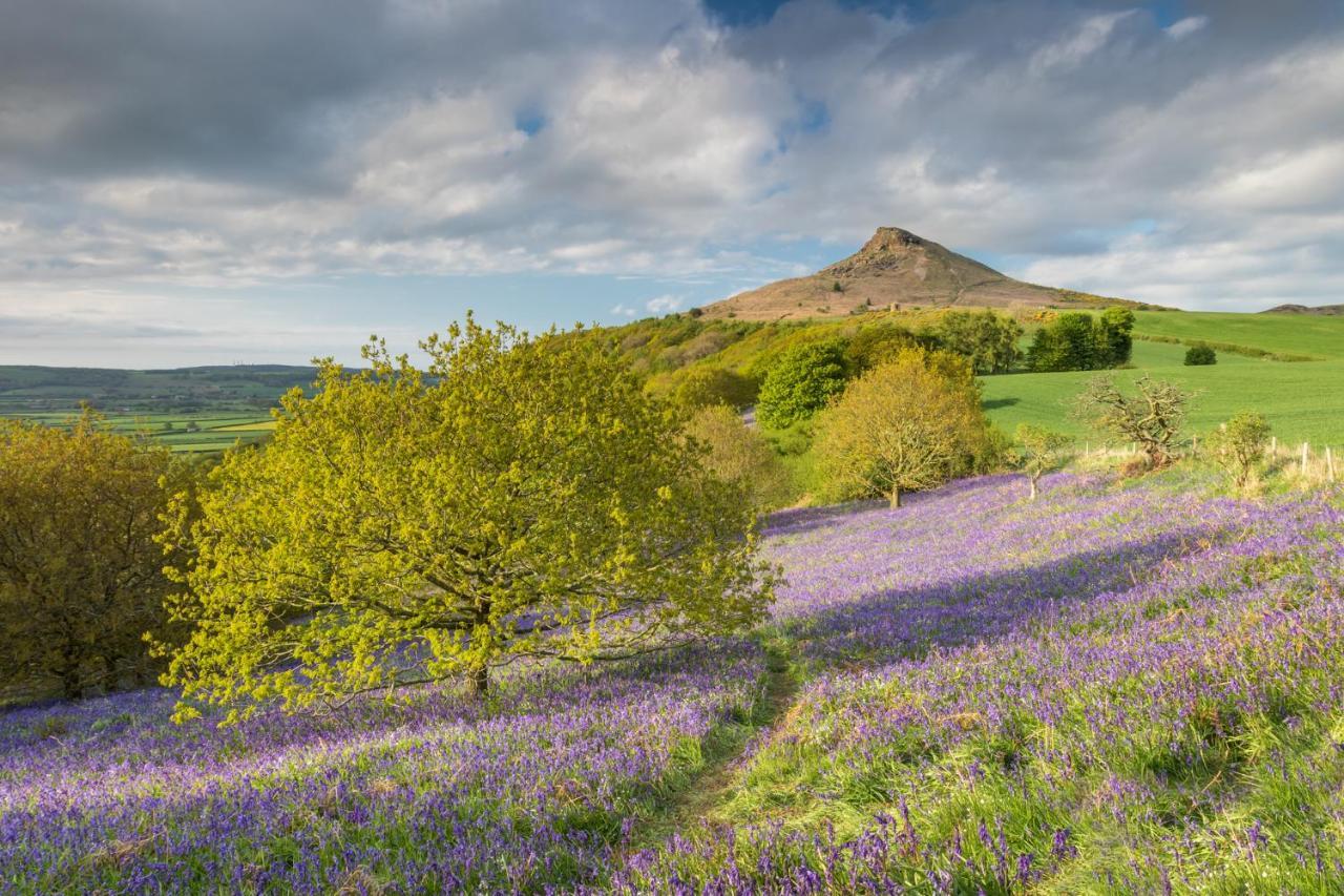 Luxury Farmhouse With Stunning Views And Hot Tub Ebberston 외부 사진